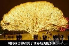 这个设计太唯美了 这个设计太唯美了