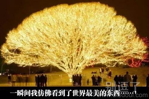 这个设计太唯美了 这个设计太唯美了