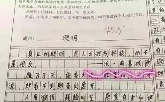 沃(我)兹(自)基(己)硕(说)德(的) 沃(我)兹(自)基(己)硕(说)德(的)