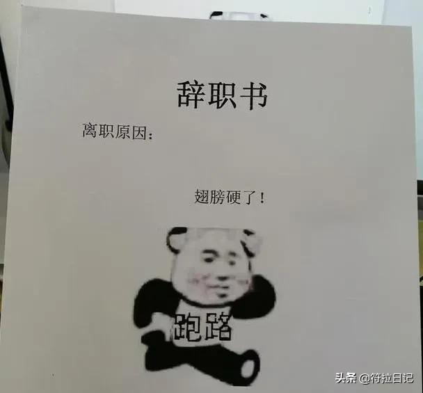 老婆发来一张吃饭的照片,我看完就选择离婚!网友:这波太细心了 老婆发来一张吃饭的照片,我看完就选择离婚!网友:这波太细心了