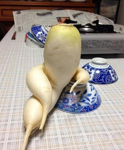 这真是名副其实的贵妇坐呀 这真是名副其实的贵妇坐呀
