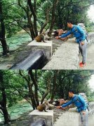 不怕它抓你啊?! 不怕它抓你啊?!