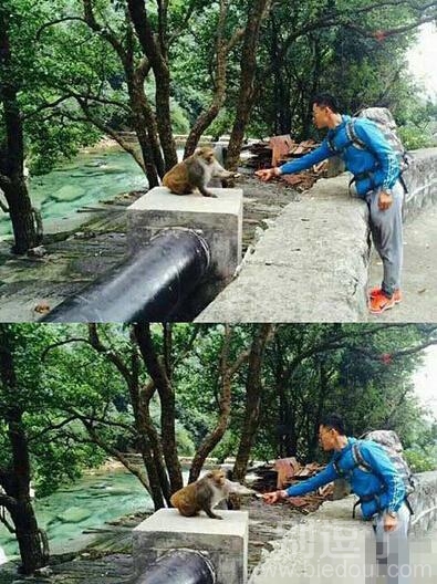 不怕它抓你啊?! 不怕它抓你啊?!