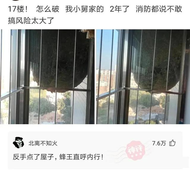 “跟男友第一次住宾馆,卫生间里挂个毛笔啥意思?”评论区沸腾了 “跟男友第一次住宾馆,卫生间里挂个毛笔啥意思?”评论区沸腾了