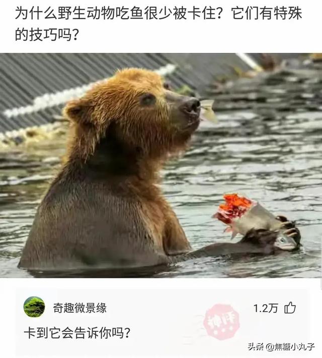 昨天晚上和男朋友去了一次宾馆,今天就这样了,还很痒,还有救吗 昨天晚上和男朋友去了一次宾馆,今天就这样了,还很痒,还有救吗