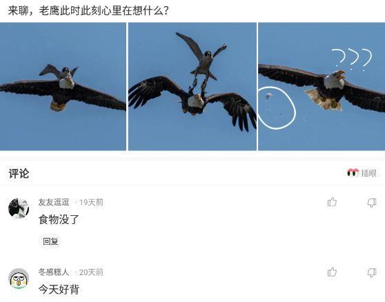 神回复:一直疑惑卫生纸上这是让干嘛的 神回复:一直疑惑卫生纸上这是让干嘛的