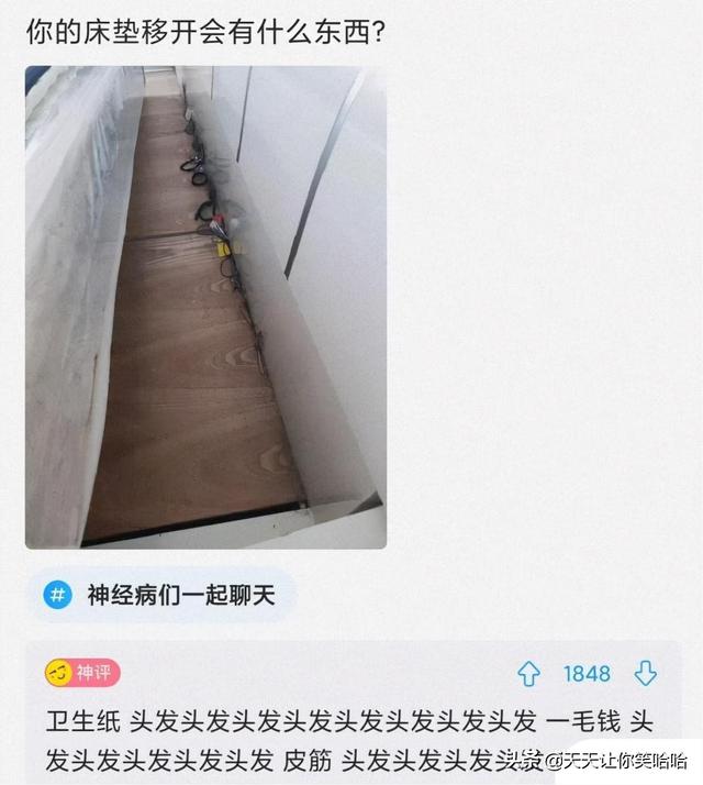 神回复：网友骂人能斯文到什么程度？太有学问了，抓紧抄下来