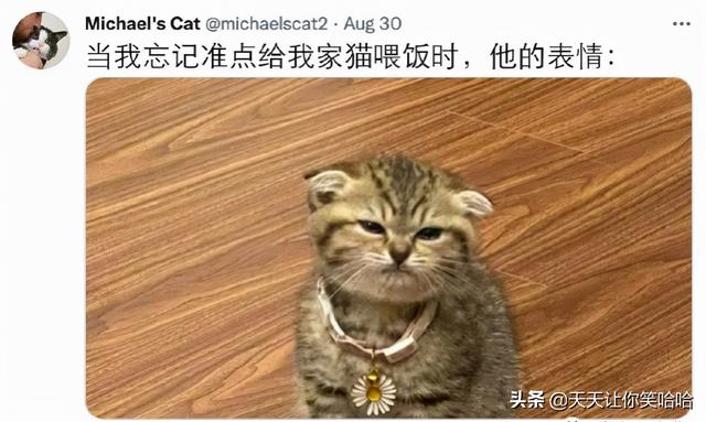 神回复:网友骂人能斯文到什么程度?太有学问了,抓紧抄下来 神回复:网友骂人能斯文到什么程度?太有学问了,抓紧抄下来