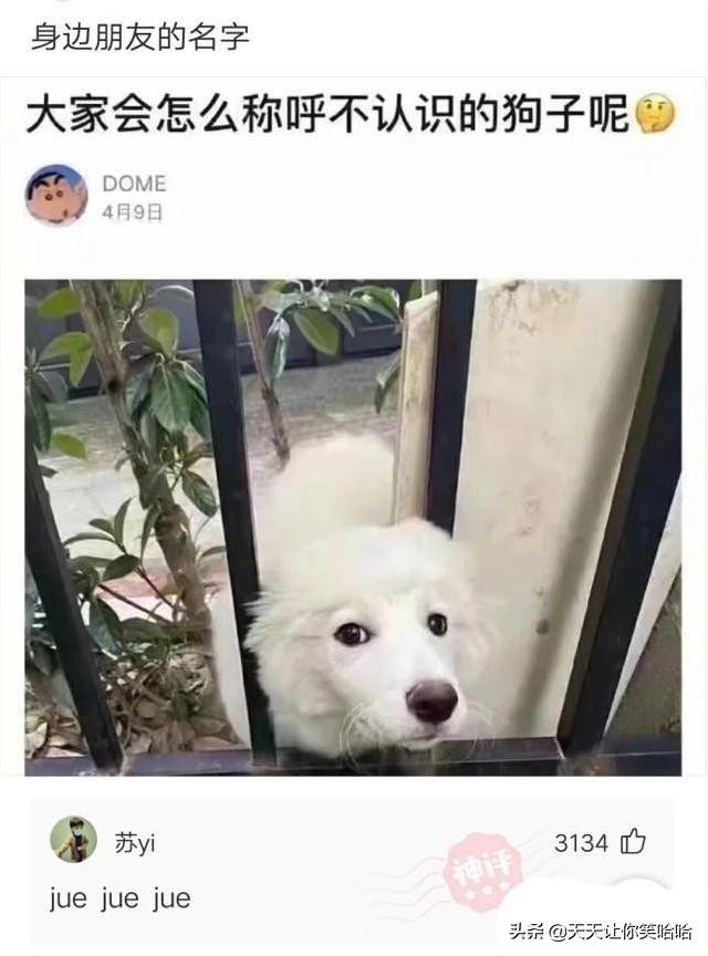 神回复:网友骂人能斯文到什么程度?太有学问了,抓紧抄下来 神回复:网友骂人能斯文到什么程度?太有学问了,抓紧抄下来