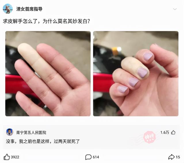 前任大婚,我租了个空姐当女伴,带去后新郎脸都绿了 前任大婚,我租了个空姐当女伴,带去后新郎脸都绿了
