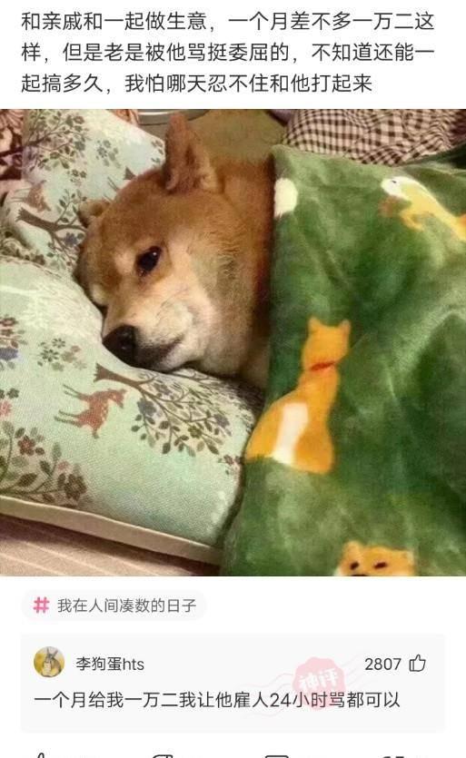 记得第一次见丈母娘,刚进门我和丈母娘都傻眼了,气氛突然尴尬了 记得第一次见丈母娘,刚进门我和丈母娘都傻眼了,气氛突然尴尬了