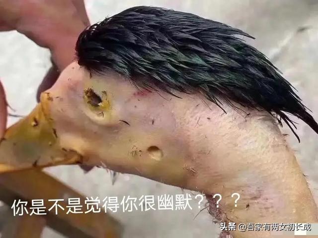 “你是什么时候发现自己家还挺有钱的？”哈哈，评论区真相了