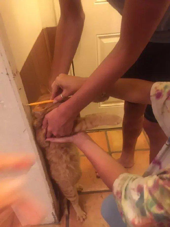 “妹子半夜来按门铃,说停电一个人害怕...” “妹子半夜来按门铃,说停电一个人害怕...”