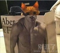 猫妖今天又出世了