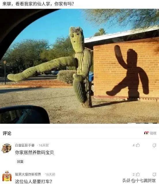 神回复:我是广东潮汕的,30岁了,这房子能娶到老婆吗? 神回复:我是广东潮汕的,30岁了,这房子能娶到老婆吗?