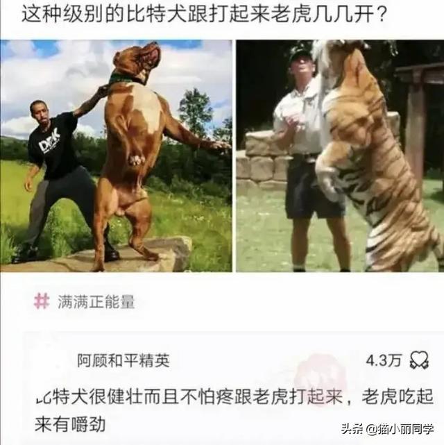 阿姨，地铁上这么多人看着呢，我都感觉到尴尬！网友：味道如何