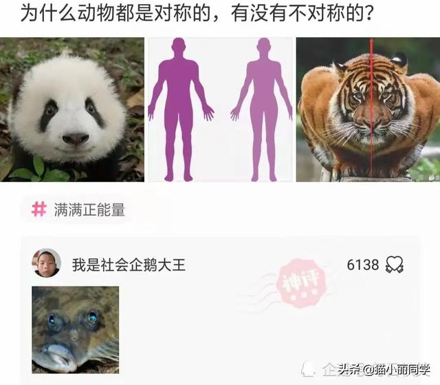 阿姨,地铁上这么多人看着呢,我都感觉到尴尬!网友:味道如何 阿姨,地铁上这么多人看着呢,我都感觉到尴尬!网友:味道如何
