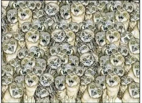 自律的人每天都干什么？神回复让你笑的直不起腰