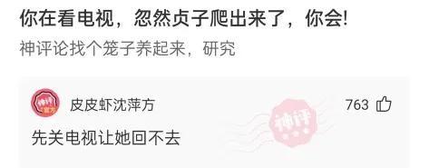 自律的人每天都干什么？神回复让你笑的直不起腰