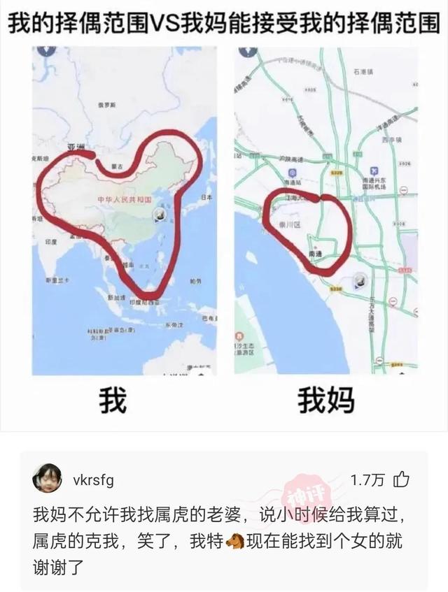自律的人每天都干什么？神回复让你笑的直不起腰