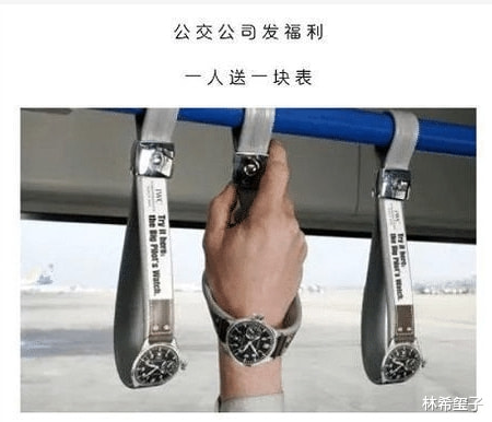 “河边捡到的幼崽,想知道喂啥才能快些长大?” “河边捡到的幼崽,想知道喂啥才能快些长大?”
