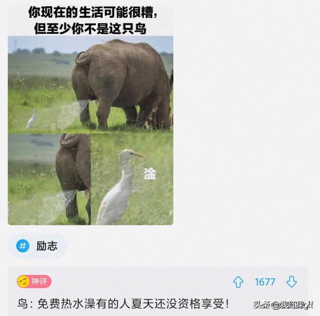 千万不要让男生帮忙挑泳衣,这谁扛得住啊!哈哈哈哈真是醉了 千万不要让男生帮忙挑泳衣,这谁扛得住啊!哈哈哈哈真是醉了
