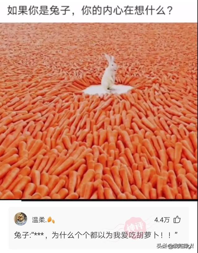千万不要让男生帮忙挑泳衣,这谁扛得住啊!哈哈哈哈真是醉了 千万不要让男生帮忙挑泳衣,这谁扛得住啊!哈哈哈哈真是醉了