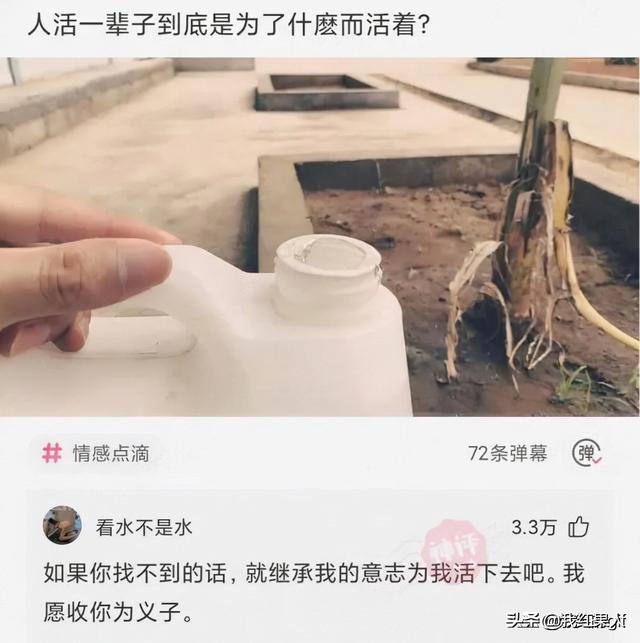 千万不要让男生帮忙挑泳衣，这谁扛得住啊！哈哈哈哈真是醉了