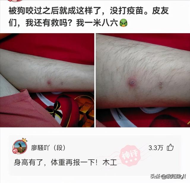 千万不要让男生帮忙挑泳衣,这谁扛得住啊!哈哈哈哈真是醉了 千万不要让男生帮忙挑泳衣,这谁扛得住啊!哈哈哈哈真是醉了