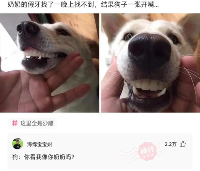神回复:就这女的,我们家三代都馋她,典型癞蛤蟆了 神回复:就这女的,我们家三代都馋她,典型癞蛤蟆了
