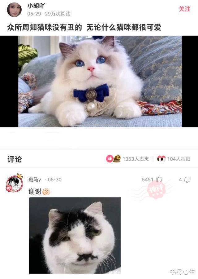 神回复:我:张律师,我被打了!张律师:你动手了没?我:没! 神回复:我:张律师,我被打了!张律师:你动手了没?我:没!