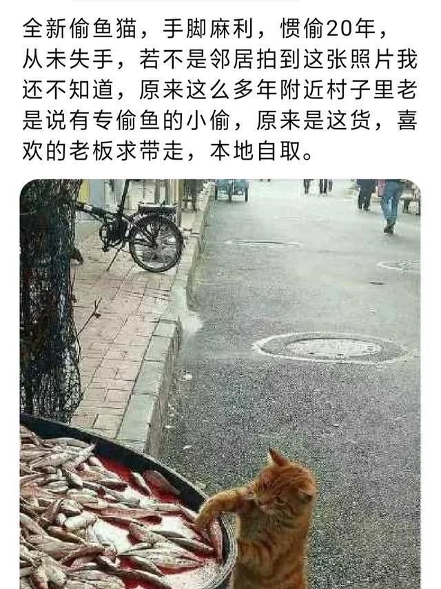 朋友请人吃饭,吃得差不多打电话叫我去买单,消费3800我说我没钱 朋友请人吃饭,吃得差不多打电话叫我去买单,消费3800我说我没钱
