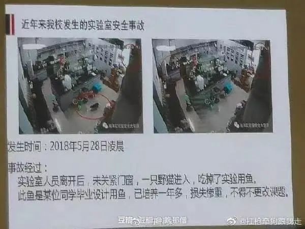 两男一女在健身房竟上演 “人肉三明治 ”？！动图流出 . . . 这是我能免费看的？？