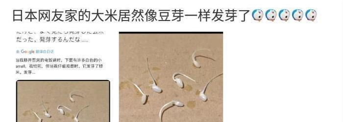 “新娘结婚当天,做出了这个动作,说明了什么”,哈哈哈! “新娘结婚当天,做出了这个动作,说明了什么”,哈哈哈!