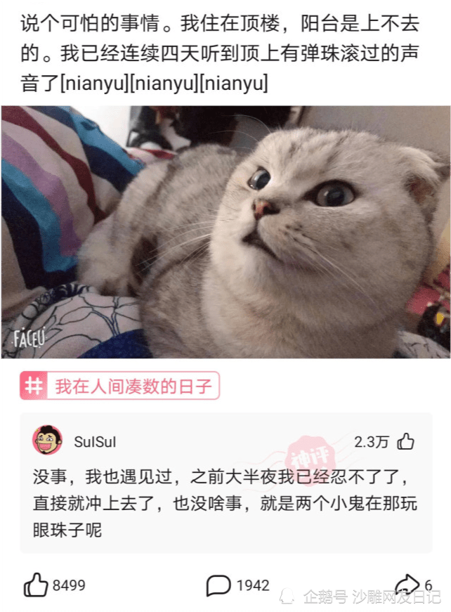 神回复:如果发现四光年外有一批外星文明的战舰,正以光速向地球前进,人类会怎么做? 神回复:如果发现四光年外有一批外星文明的战舰,正以光速向地球前进,人类会怎么做?