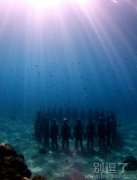 水下艺术，不会死了吧