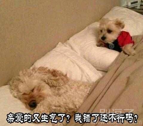 亲爱的又生气了?我错了还不行吗? 亲爱的又生气了?我错了还不行吗?