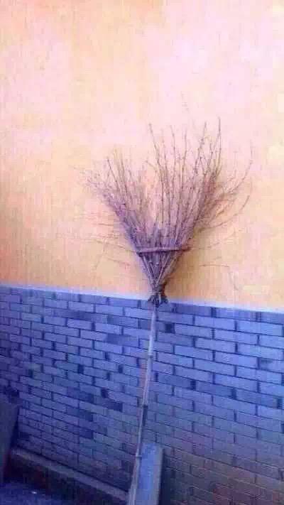 内涵图：邪恶的扫把