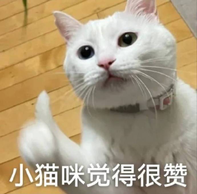 小猫咪觉得很赞(猫猫点赞表情包)