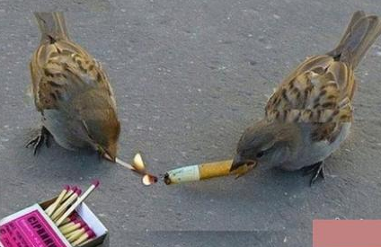 大哥借个火呗