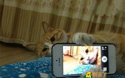 睡前要自拍哦