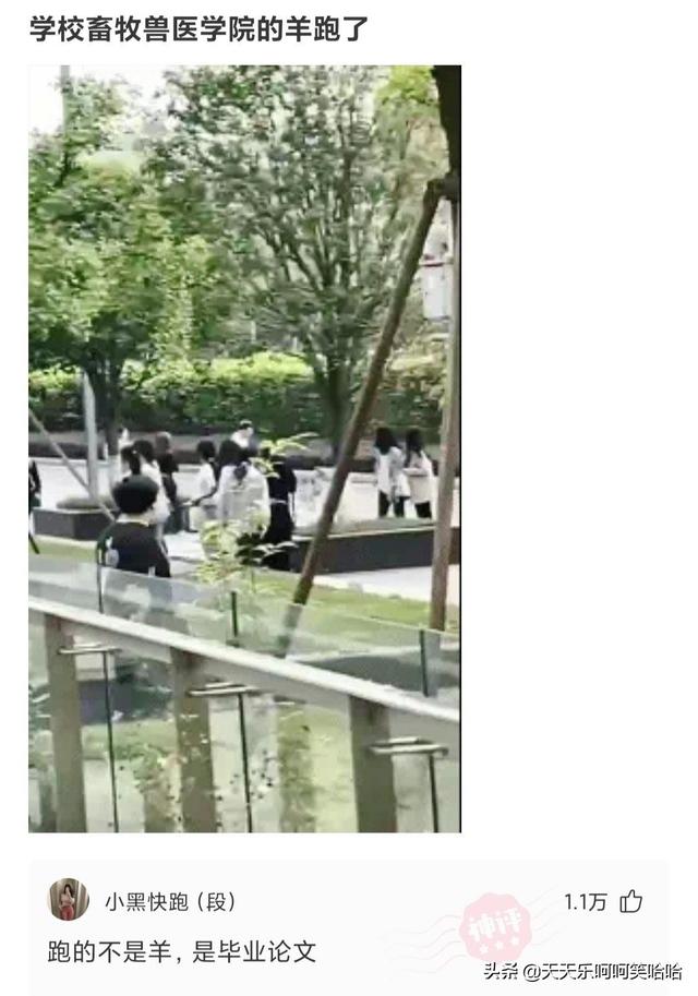 舔狗能舔到什么程度,兄弟模仿一下,看谁是王中王!哈哈哈哈哈 舔狗能舔到什么程度,兄弟模仿一下,看谁是王中王!哈哈哈哈哈