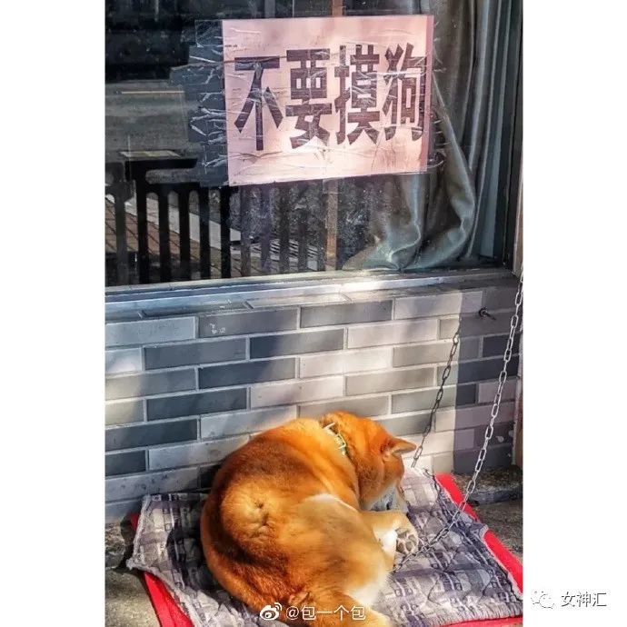 爸妈花50w帮我装修婚房,打开灯后崩溃了!网友:这KTV画风令人害怕! 爸妈花50w帮我装修婚房,打开灯后崩溃了!网友:这KTV画风令人害怕!