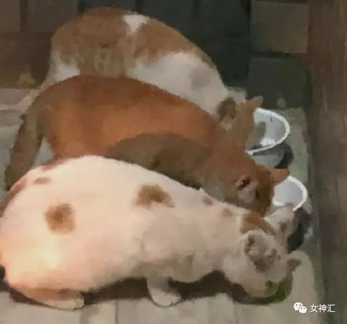 爸妈花50w帮我装修婚房,打开灯后崩溃了!网友:这KTV画风令人害怕! 爸妈花50w帮我装修婚房,打开灯后崩溃了!网友:这KTV画风令人害怕!