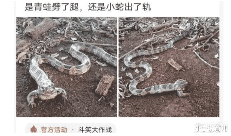 “假如西天与天庭开战,谁的胜算比较大?”评论区答案出奇的一致啊 “假如西天与天庭开战,谁的胜算比较大?”评论区答案出奇的一致啊