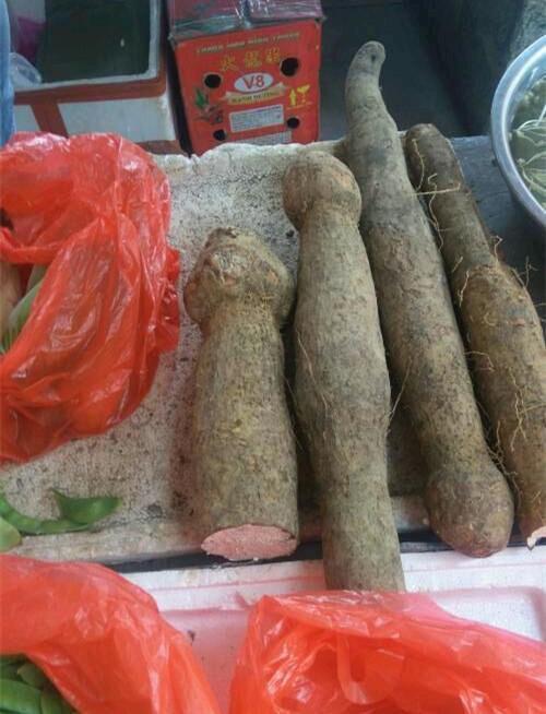 山药好奇怪 山药好奇怪