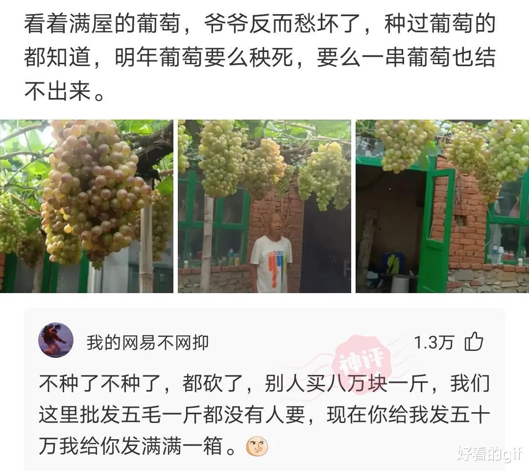 “同样是穿裙子，她们有没有男朋友一目了然！”哈哈哈怎么看出来的