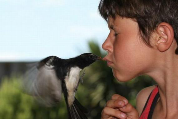 动物图片太有爱了