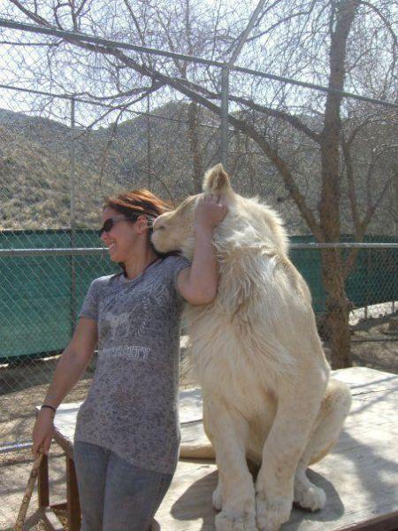 动物图片太有爱了