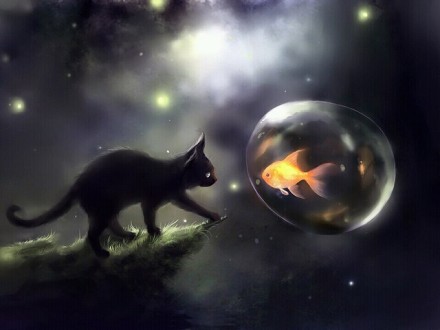 猫和鱼的故事,老套的爱情故事。